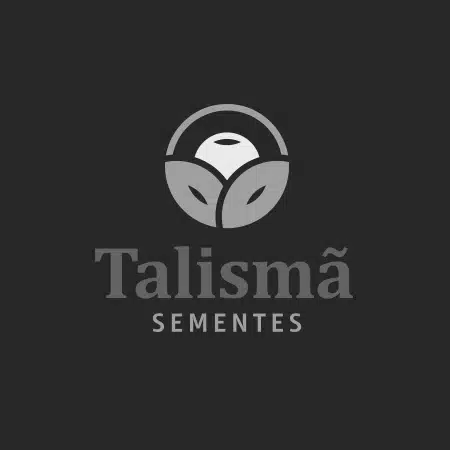 Publicidade Talismã Sementes Dois Z Publicidade Agência de Publicidade e Propaganda MArketing Digital Goiânia Goiás