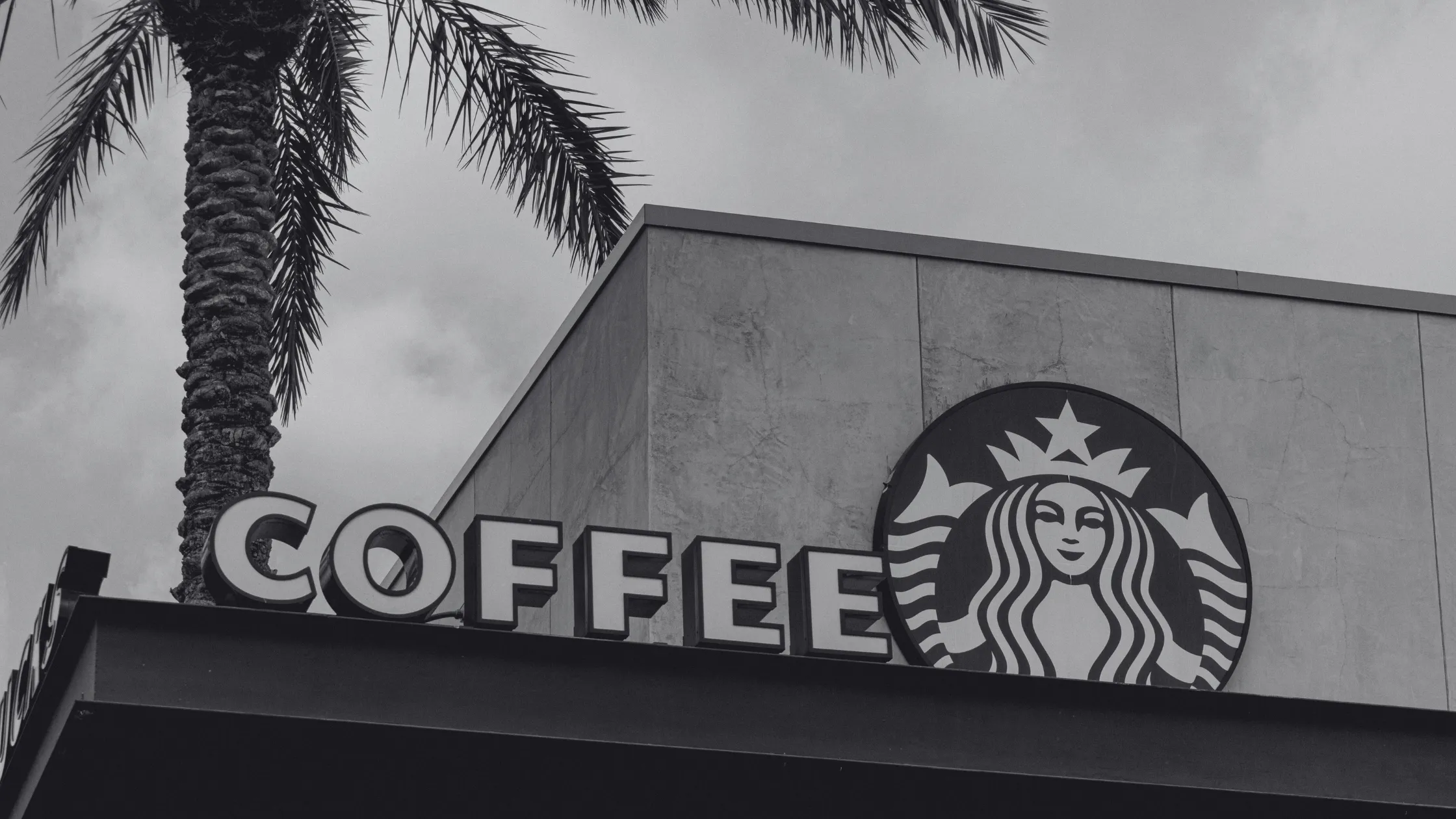 Tendências de Consumo de Café no Brasil Como a Geração Z Está Transformando a Cultura da Bebida