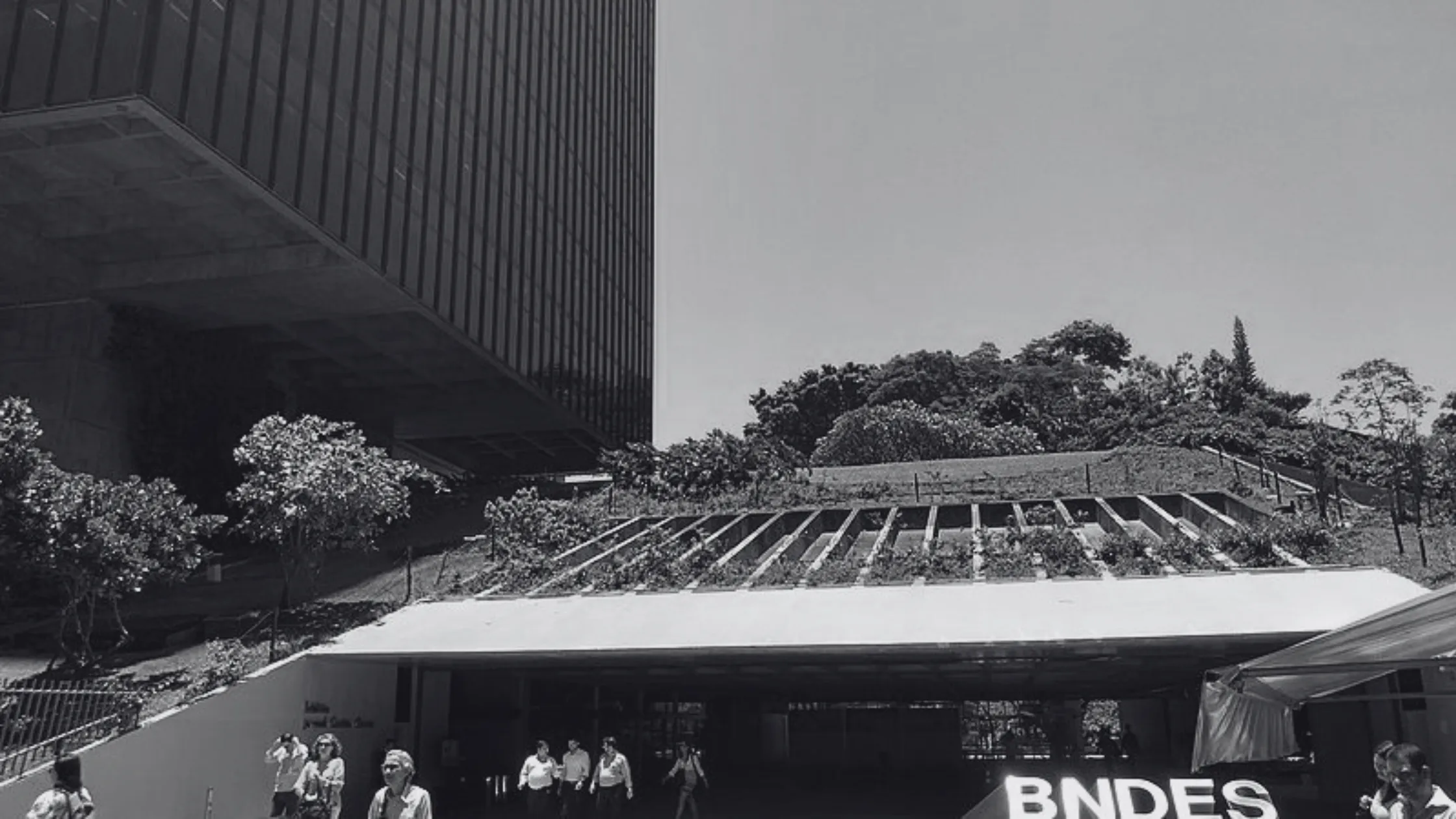 Investimento em Economia Verde O Brasil na Rota da Inovação e Competitividade Global
